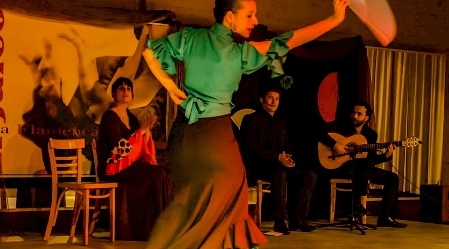 Flamenco : Sancti Petri